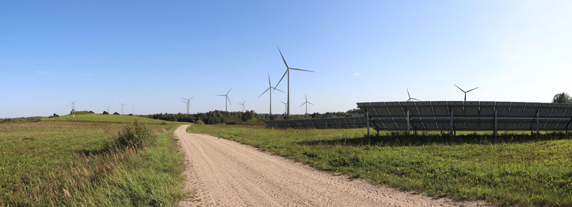 Sunly wins auction of Latvia’s State Forests and continues work on wind park development in Kurzeme