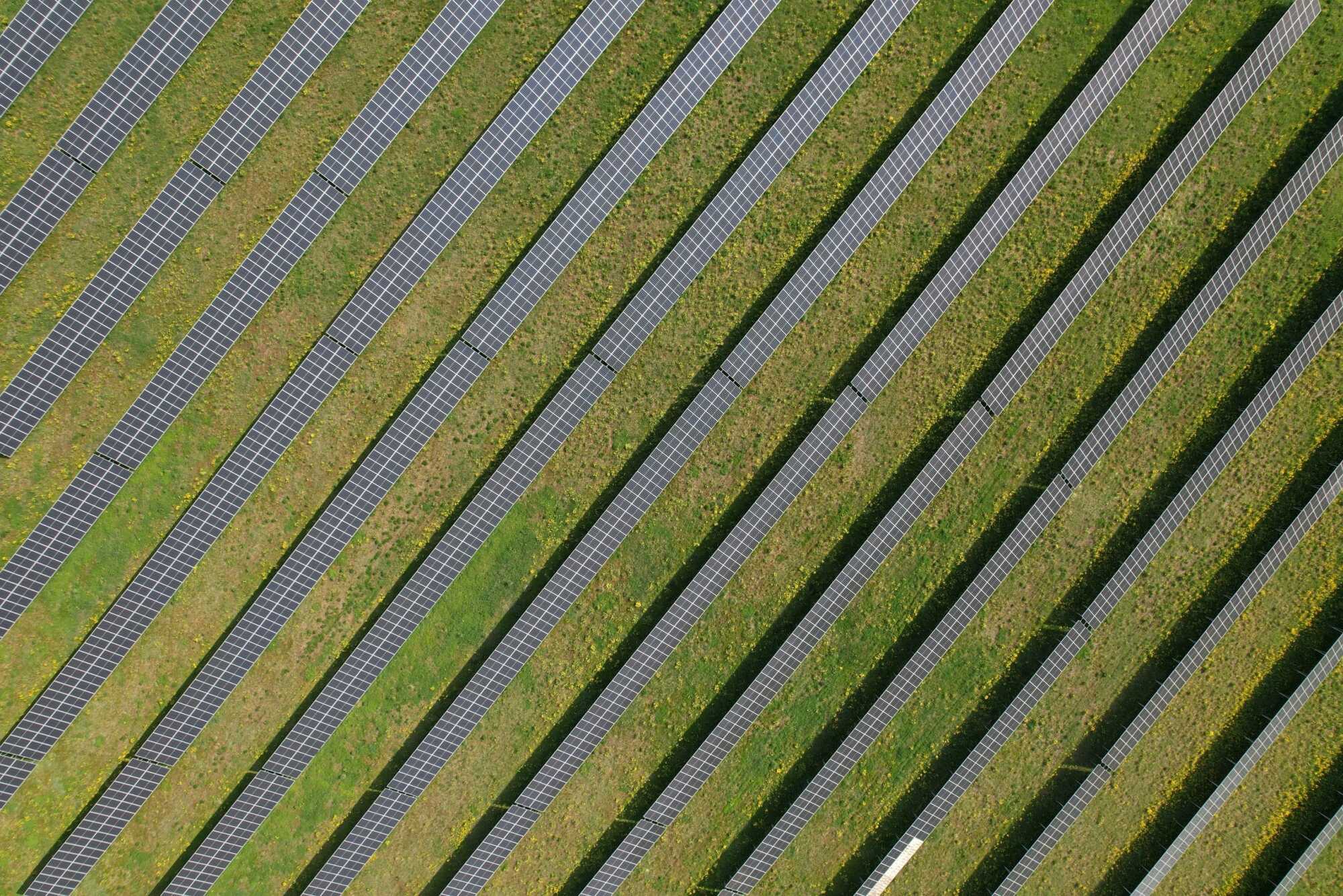 Sunly ühendab jõud Poola päikeseenergia arendajaga Alseva Group