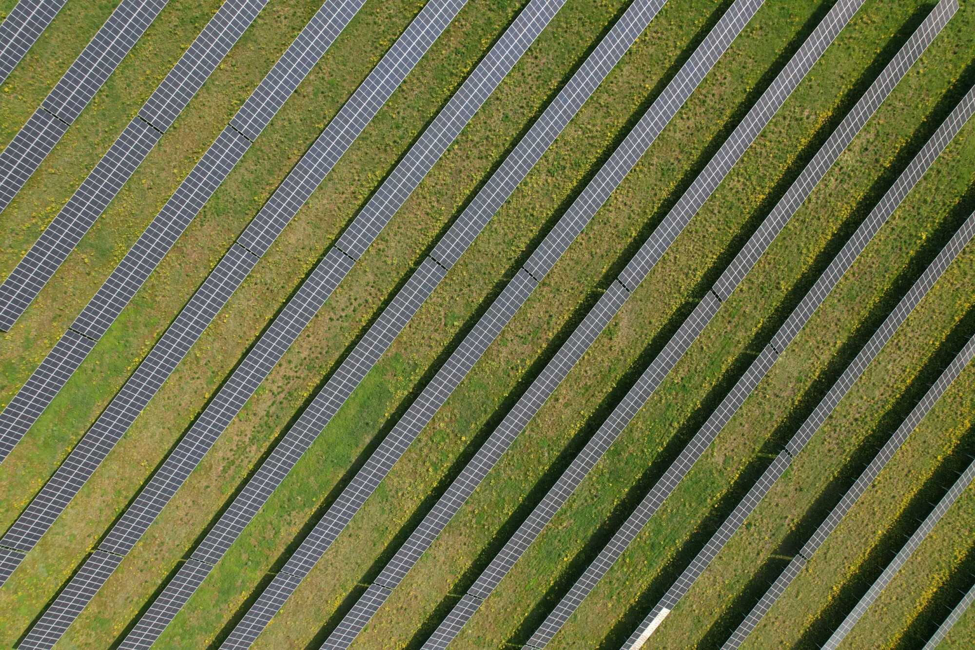 Sunly x Metsagrupp building one of the largest solar parks in Estonia 