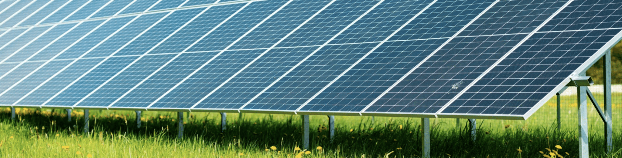 Largest Solar Park Planned in Kaišiadorys for Prosumers 