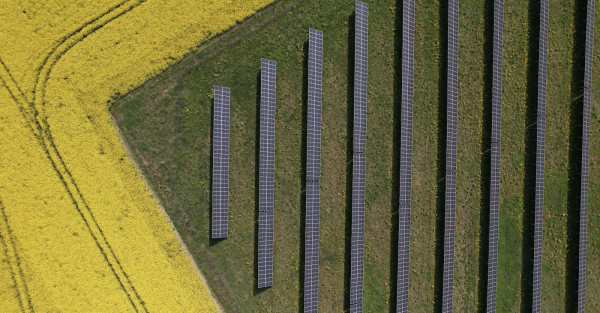 Sunly and Alseva sign agreement to construct a solar park in Latvia