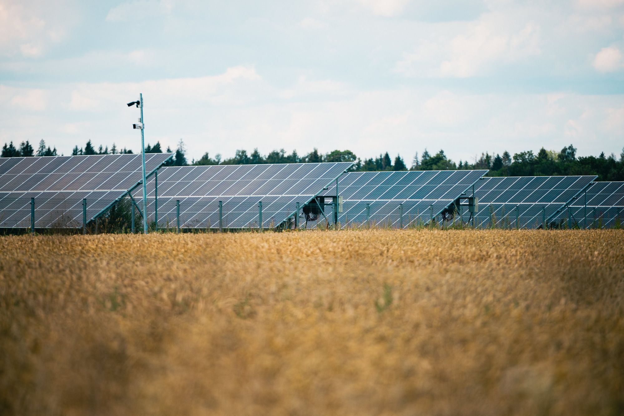 Bendradarbiaudama su Sunly, Metsagrupp pradeda plėtoti vėjo energetiką