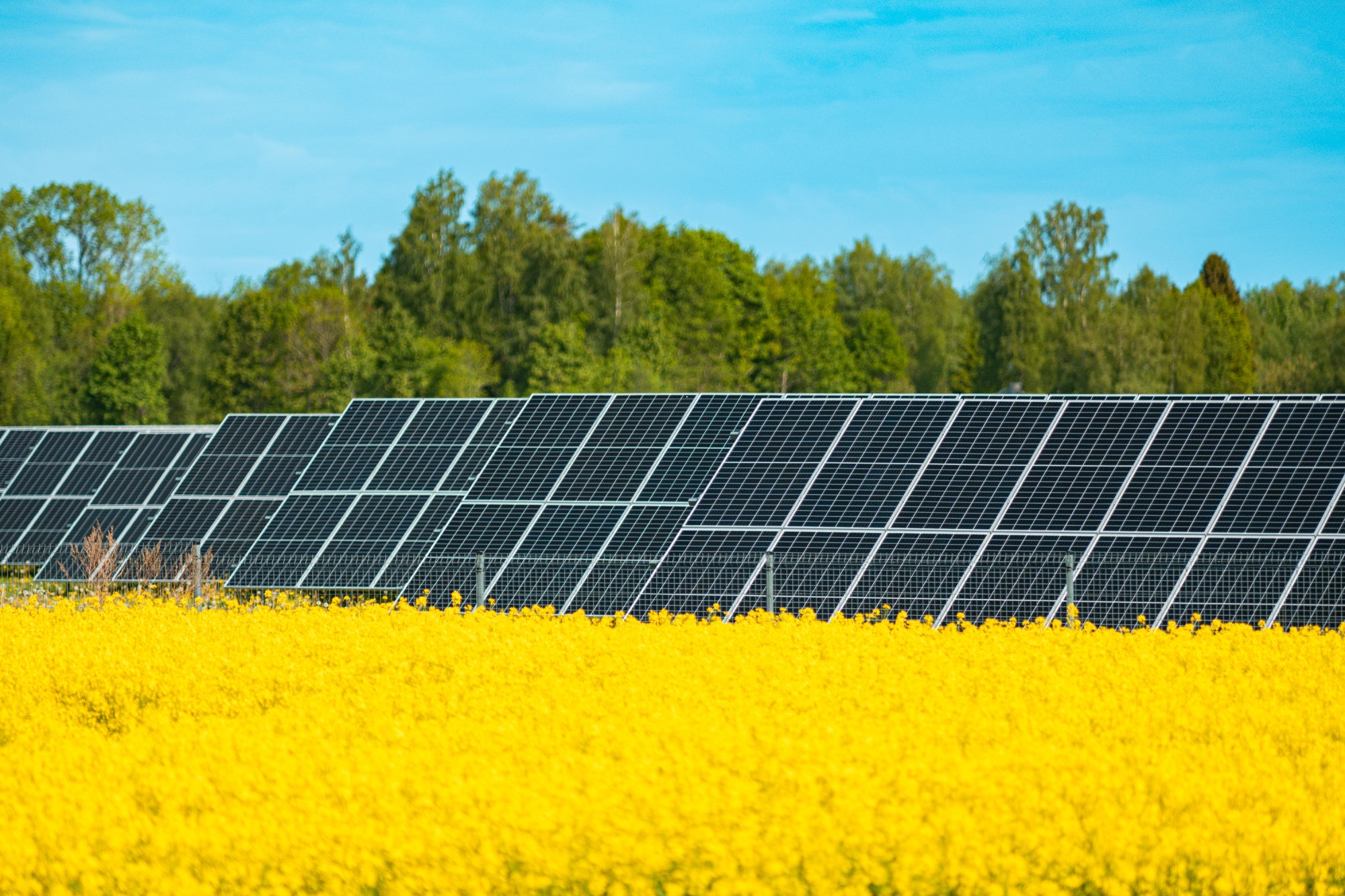 <div><strong>Sunly Hybrid Parks</strong></div>