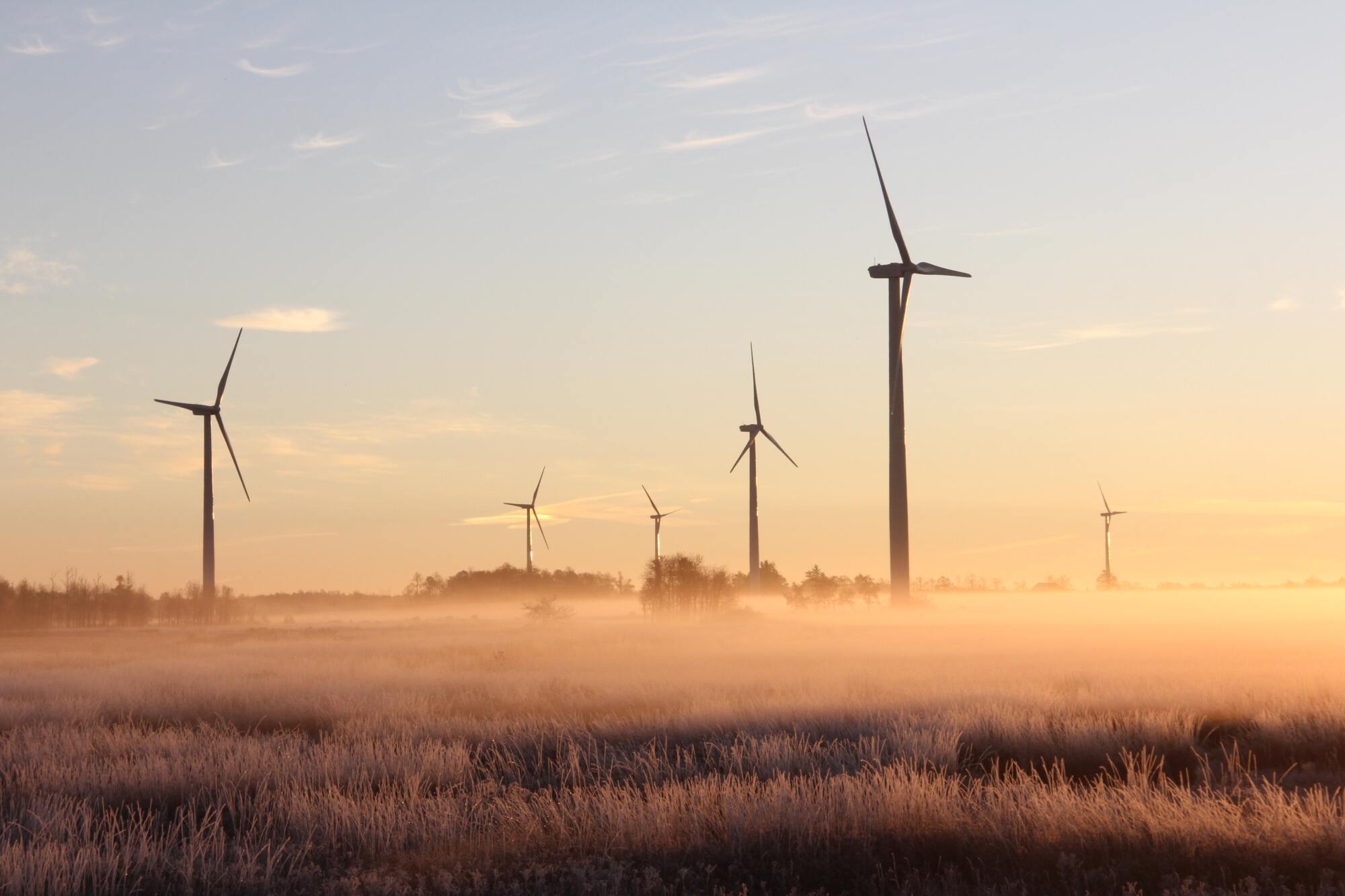Sunly’s “Kurzeme” Wind Park and related projects granted LIAA Priority Investment Project status