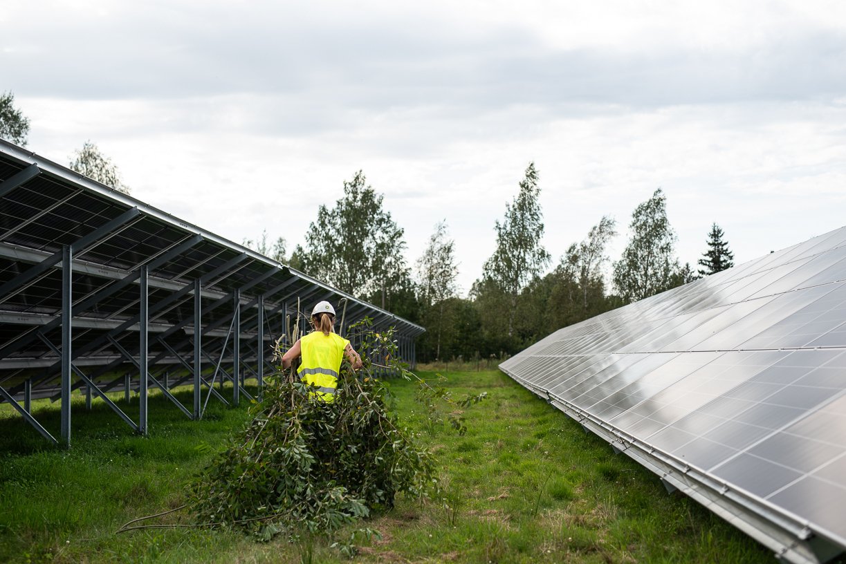 Nurme päikesepark Pärnumaal sai vabatahtlike abiga elurikkam