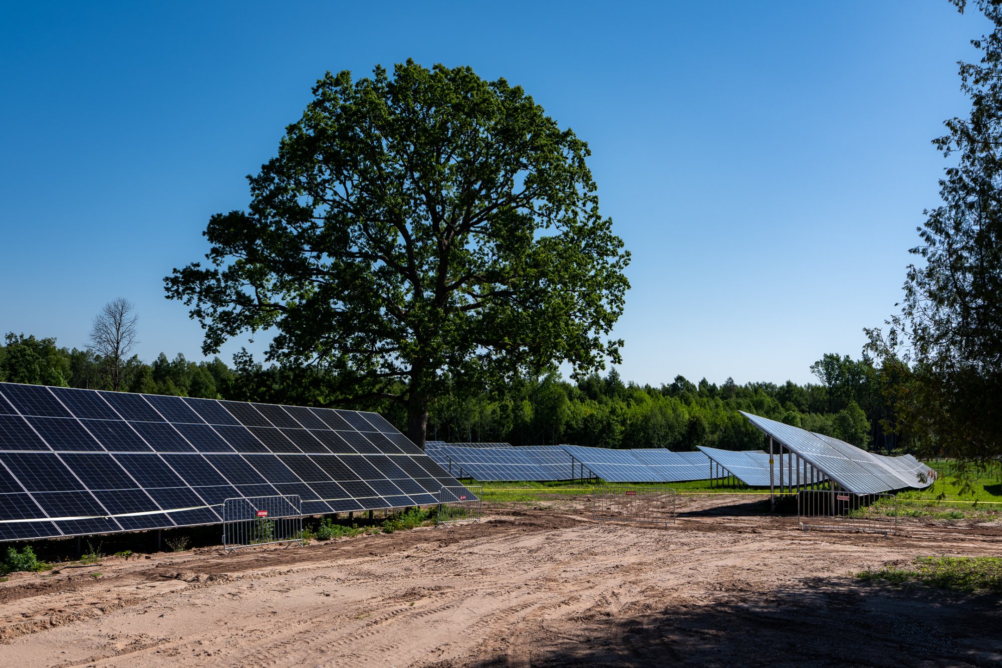 Sunly strengthens its role in the Baltic energy market with 100 MW of balancing capacity in Latvia